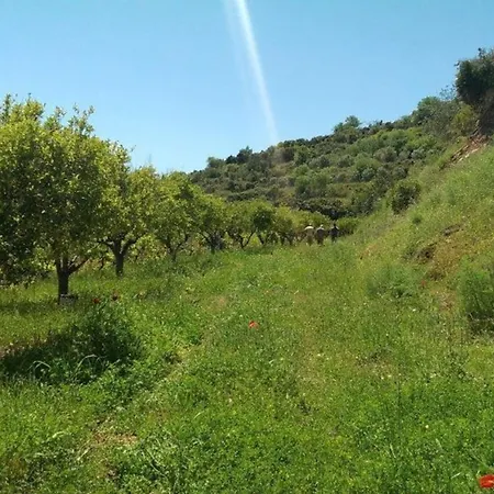 Rocha Branca